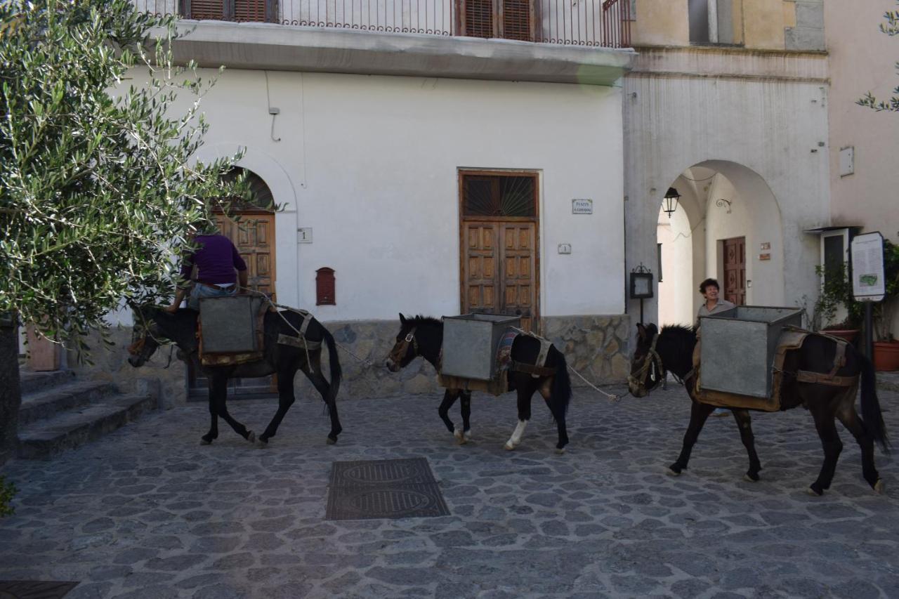Palazzo San Giovanni Amalfi Coast スカラ エクステリア 写真